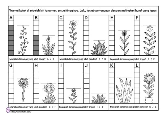 Lembar kerja anak tk - tanaman - lembar kerja paud - ukuran tinggi pendek - perbandingan - kindergarten worksheet - short tall