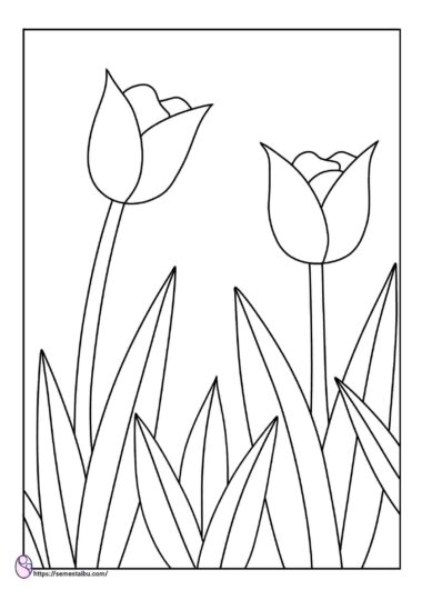 gambar mewarnai bunga tulip