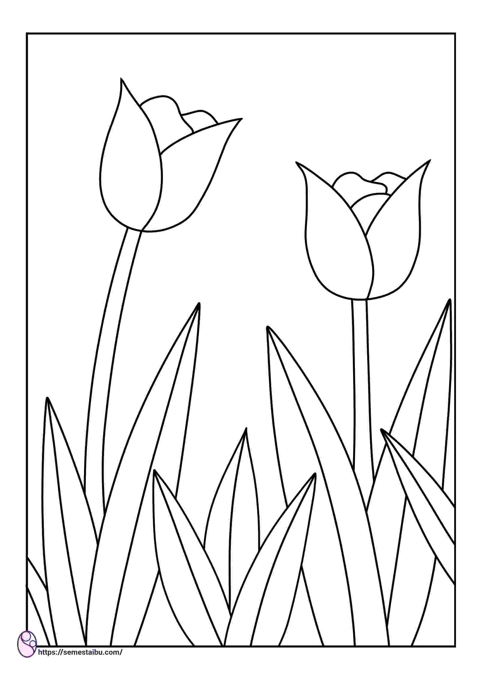 Gambar bunga tulip