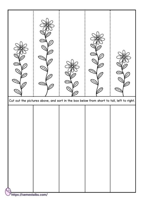 Cut and paste worksheets - short and tall