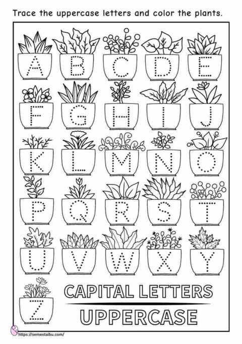 Letter tracing - kindergarten worksheets - coloring plants