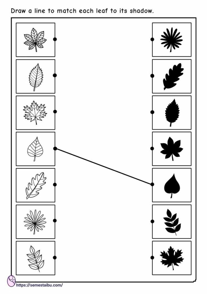 Preschool worksheets - matching pictures - shadow