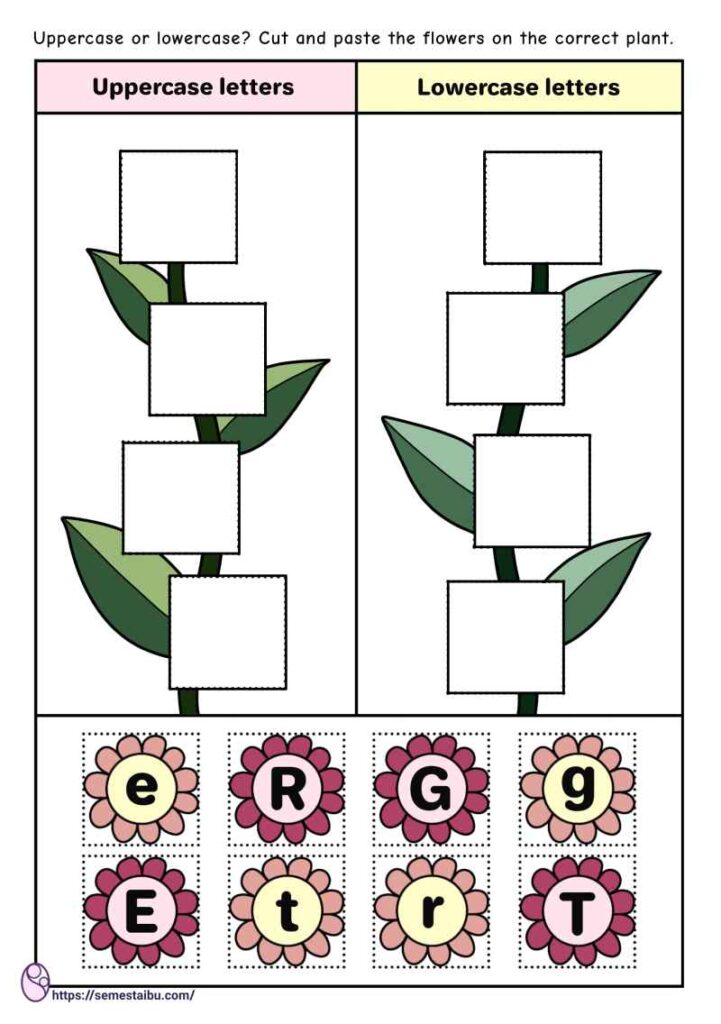 Cut and paste - sorting worksheets - uppercase and lowercase