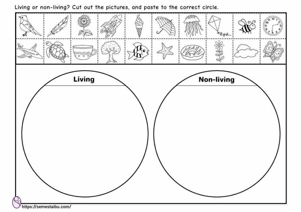 Living and non-living - cut and paste - sorting worksheets