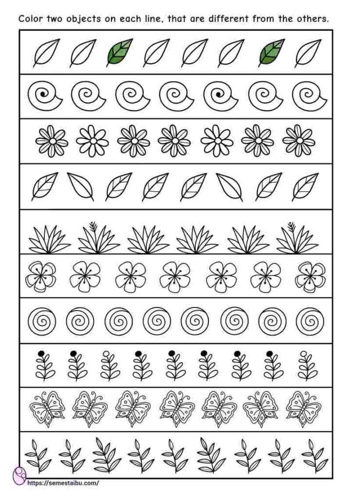 same and different visual discrimination garden