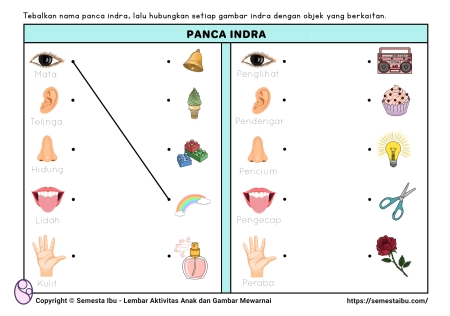 Seri Printable Tematik Worksheet Mengenal Panca Indera, 51% OFF