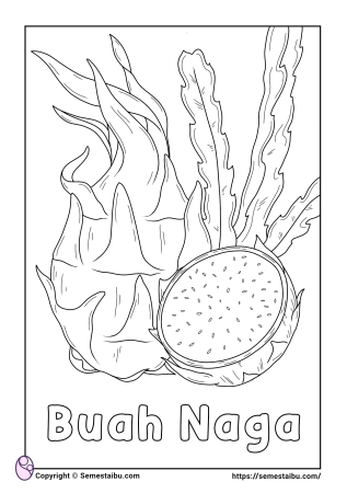 Gambar mewarnai buah naga