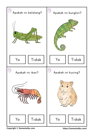 Flashcard pertanyaan lembar kerja worksheet anak tk paud bahasa