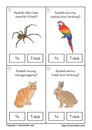 Flashcard pertanyaan lembar kerja worksheet anak tk paud bahasa