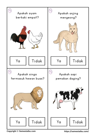 Flashcard pertanyaan lembar kerja worksheet anak tk paud bahasa