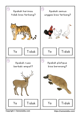 Flashcard pertanyaan lembar kerja worksheet anak tk paud bahasa
