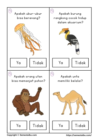 Flashcard pertanyaan lembar kerja worksheet anak tk paud bahasa