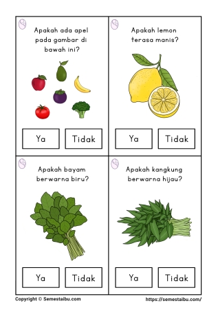 Flashcard pertanyaan lembar kerja worksheet anak tk paud bahasa