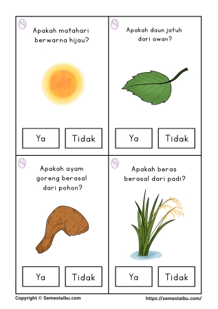 Flashcard pertanyaan lembar kerja worksheet anak tk paud bahasa