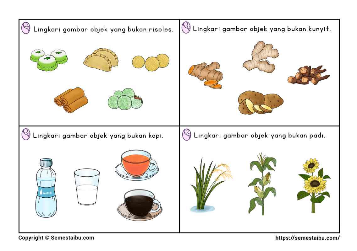 Lembar kerja anak tk sd task card noncontoh negasi