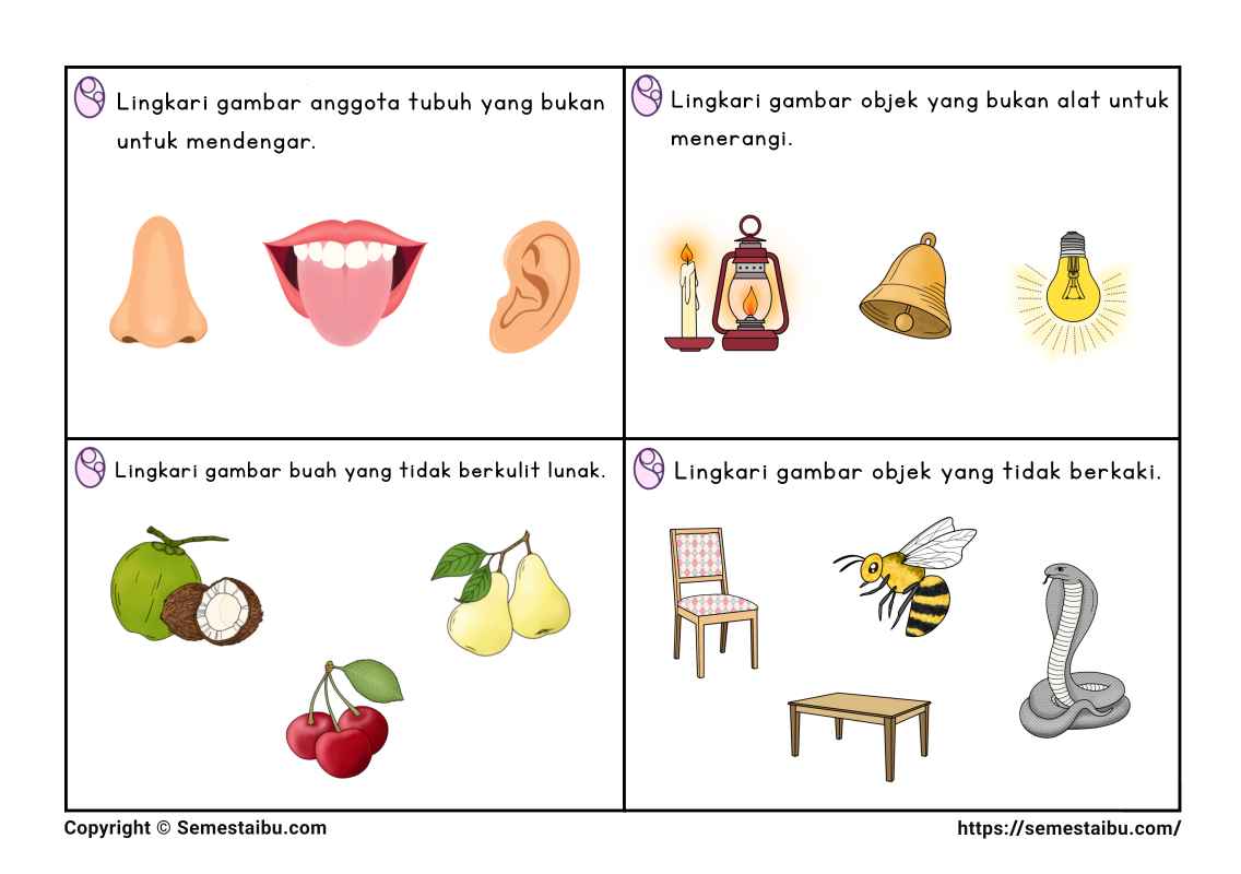 Lembar kerja anak tk sd task card noncontoh negasi