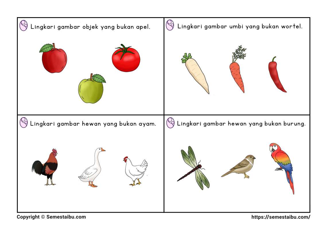 Lembar kerja anak tk sd task card noncontoh negasi