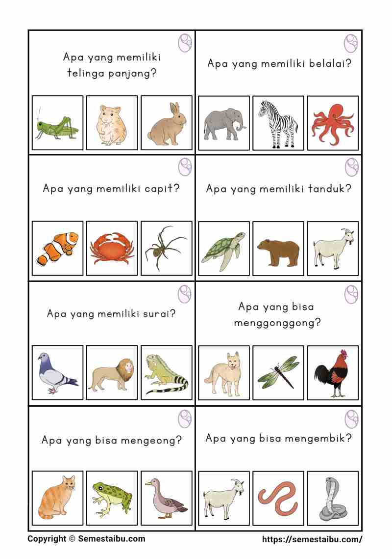 Flashcard anak tk sd pertanyaan apa terapi wicara